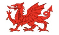 WNC Dragon Logo